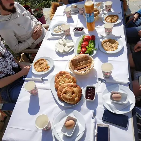 Friends' & Vandrerhjem *