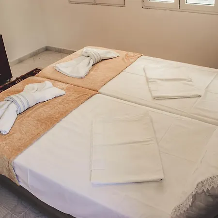 Friends' & Gjirokastër