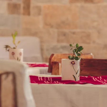 Friends' & * Gjirokastër