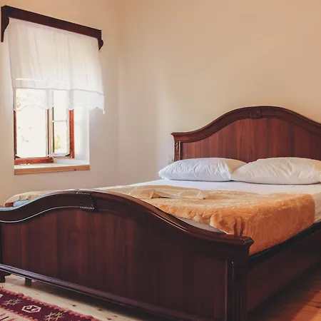 Friends' & Gjirokastër